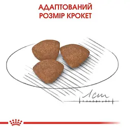 Сухий корм для цуценят дрібних порід Royal Canin Mini Puppy, з м'ясом птиці, 8 кг (30000801) - мініатюра 3