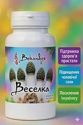 Гриб веселка 400 мг, 60 капсул — при втомі, стресі й після 35 для чоловічої енергії та імунітету, екстракт 10:1, BEKANDZE - мініатюра 4