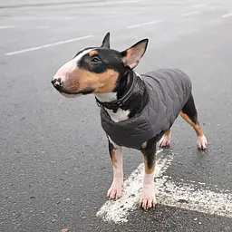 Жилет для собак Pet Fashion E.Vest XS сірий - мініатюра 4