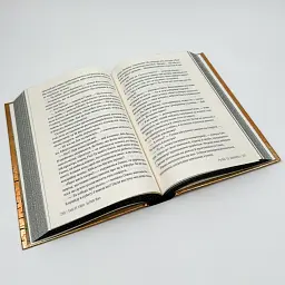 Та дівчина - Веа Рут | Рідна мова, книга українською, нова, тверда - мініатюра 4