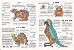 Тварини. Як це працює? - Нікола Кухарська - миниатюра 3
