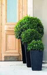 Горщик для рослин Keter Medium Rattan Planter сірий - мініатюра 3