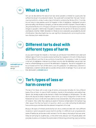 Tort Law Directions - мініатюра 3