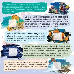 100 цікавинок. Моря, океани та їхні мешканці - Катерина Шаповалова - мініатюра 2