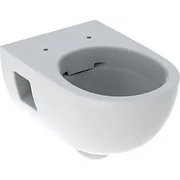 Чаша підвісного унітазу Geberit Selnova Rimfree 501.545.01.1, Білий