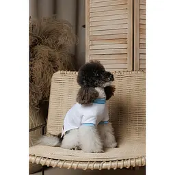 Футболка Pet Fashion Polo для собак S - мініатюра 7