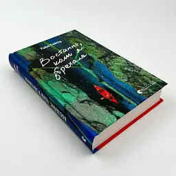 Востаннє, коли я збрехала - Райлі Сейґер | Видавництво Старого Лева, книга українською, нова, тверда - мініатюра 2