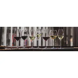 Набір келихів для шампанського Riedel Performance Champagne 375 мл 2 шт. (6884/28) - мініатюра 8