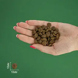 Сухий корм для котів Bravery Adult Cat Chicken з куркою 600 г - мініатюра 6