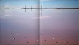 Ukraine from above - - мініатюра 3