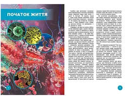 Хто з ким дружить, або дивовижі симбіозу - Клімов Василь (9789669890467) - мініатюра 3
