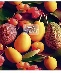 Зошит загальний Школярик The sweet stranger у лінію 96 аркушів 5 шт. (096-3239L) - мініатюра 4