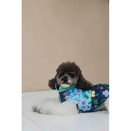 Жилет Pet Fashion Grass для собак розмір XS2 - мініатюра 5
