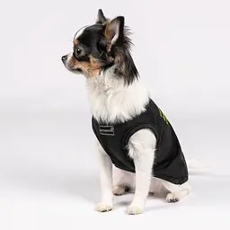 Боротьба Pet Fashion FBI для собак, розмір M2, чорна - мініатюра 6