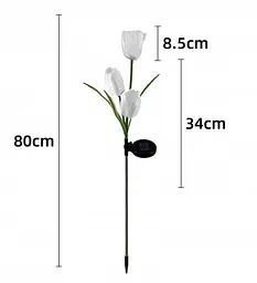 Світильники садові White Tulip flower на сонячній батареї квіти тюльпани 2 шт - мініатюра 2