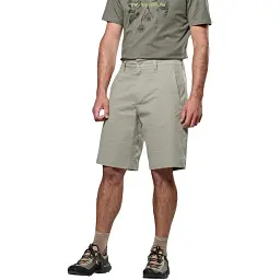 Шорти Salewa Fanes Hemp Light Shorts Men 50/L Light Grey - мініатюра 3