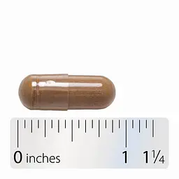 Лопух Burdock Root 100 рослинних капсул Nature's Way vit0005534 - мініатюра 3