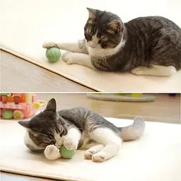 М'ячик для котів Cheerble Ice Cream Ball C0419-C (Зелений) - мініатюра 3