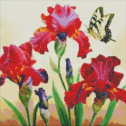 Алмазна мозаїка Вишукані іриси 40x40 см AMO7650