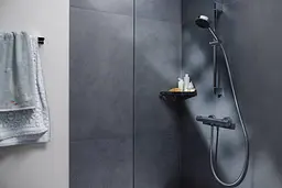 Термостат для душу Hansgrohe Ecostat Fine chrome 13323000 - мініатюра 5