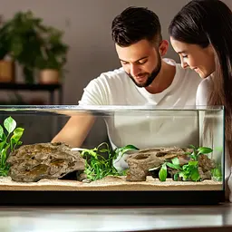 Декорація укриття Terrario Dragon Stone M 22x15x8см (23149) - мініатюра 7