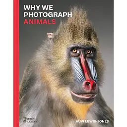 Why We Photograph Animals - Х'ю Льюїс-Джонс
