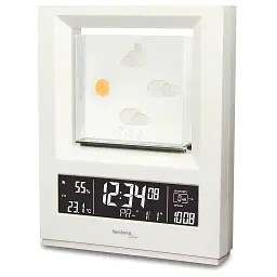 Метеостанція Technoline WS6620 White (WS6620) - мініатюра 2