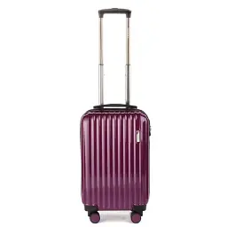 Валіза Sumdex (SWR-723RP) Royal Purple - мініатюра 2