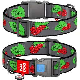 Нашийник для собак з QR паспортом, Калина, пластиковий фастекс, XXL, 46-70х3,5 см