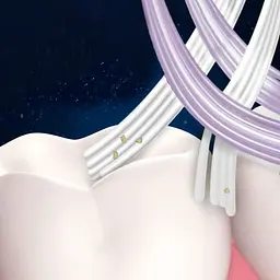 Зубна щітка Oral-B Pro-Expert Extra Clean середня синя 1 шт. - мініатюра 7