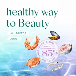 Сухий корм для дорослих собак усіх порід Optimeal Beauty Harmony повнораціонний з м'яким заспокійливим ефектом 10 кг (B1733001) - мініатюра 8