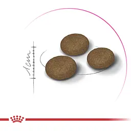 Сухий корм Royal Canin Exigent Fussy для дорослих котів з вибагливим апетитом 2 кг - мініатюра 4