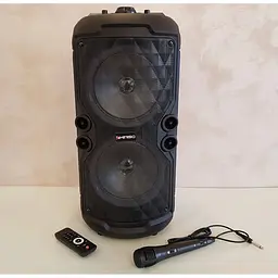 Акустична система XPRO QS-282 чорна (43553-QS-282_2477) - мініатюра 6