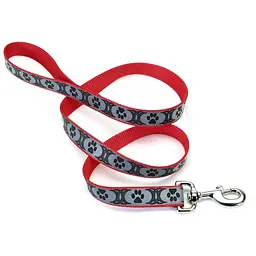 Coastal Lazer Brite Reflective Leash лазер брайт светоотражающий Повідець для собак 2.5см х 1.8м (SP46966_TRP06)