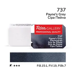 Фарба акварельна Сіра Пейна (737) 2,5 мл ROSA Gallery (4823098506157)