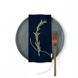 Набір серветок Cosas Mint Feather & Dark Blue Satin 4 шт. 35х35 см різнобарвний/синій (Set-4Serv_FeatherMint_SatBlue_35) - мініатюра 5