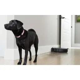 Пилосос iRobot Roomba Combo i5 (i517840) - мініатюра 5