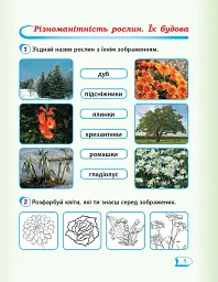 Я досліджую світ. 1 клас. Робочий зошит. Частина 2 - Антоніна Назаренко - миниатюра 2
