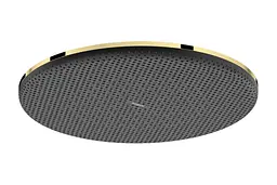 Верхній душ Hansgrohe Raindance Alive S 300 1jet EcoSmart polished gold optic 24521990