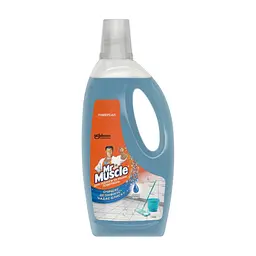 Средство для мытья пола Mr Muscle После дождя 750 мл (4823002005004)