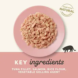 Вологий корм для котів Applaws Tuna Fillet with Salmon in Broth 70g - мініатюра 2