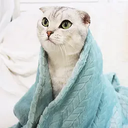 Плед для тварин Soft Warm Fluffy Pet Blanket 60х80 см Яскраво-рожевий - мініатюра 7