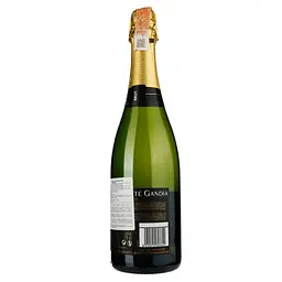 Вино ігристе Vicente Gandia Cava Brut DO, біле, брют, 11,5% 0,75 л (37295) - мініатюра 2