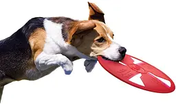 Фрізбі для собак Nerf Dog TPR Float Flyer - мініатюра 5