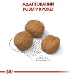 Сухий корм для щенят гігантських порід Royal Canin Giant Puppy, 15 кг (3030150) - мініатюра 2