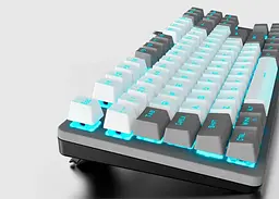 Клавіатура Aula F3287 Keycap KRGD Blue Switch UA Grey/White (6948391240954) [90995] - мініатюра 6