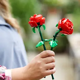 Конструктор LEGO Botanicals Троянди 120 деталей (40460) - мініатюра 6