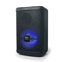 Акустична система PARTY BOXES NEW ONE PBX-50