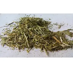 Грицики Трава Дика гречка Горобинець Capsella bursa-pastoris