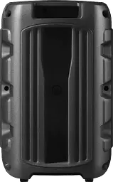 Портативна акустика Defender Boomer 12 15Вт (65412) (7151828) - мініатюра 10